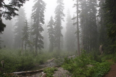 _MG_3864.JPG