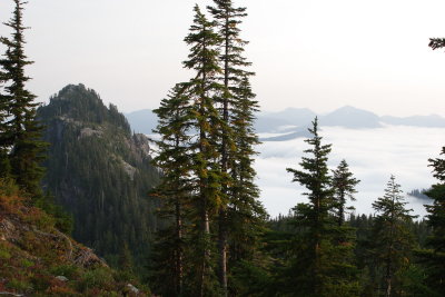 _MG_3887.JPG