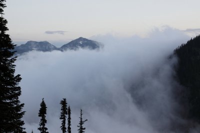 _MG_0229.JPG