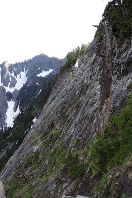 _MG_8675.JPG