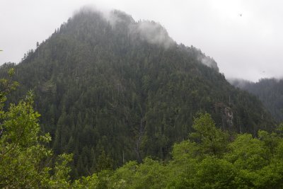 _MG_7346.JPG