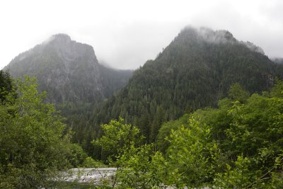 _MG_7347.JPG