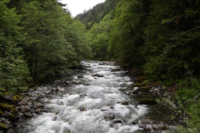 _MG_7351.JPG