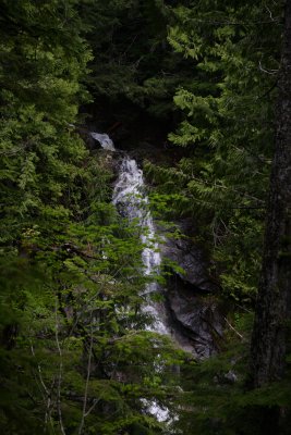 _MG_7374.JPG