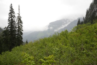 _MG_7377.JPG