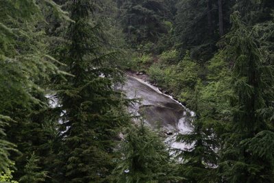 _MG_7379.JPG