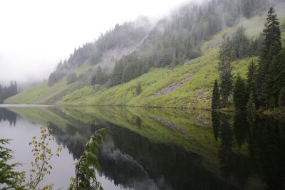 _MG_7384.JPG
