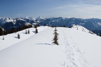 _MG_8502.JPG