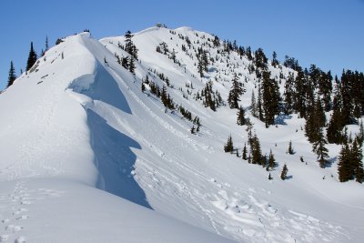 _MG_8504.JPG