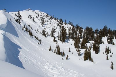 _MG_8509.JPG