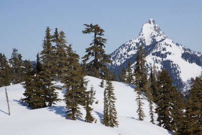 _MG_8514.JPG