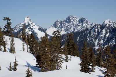 _MG_8515.JPG