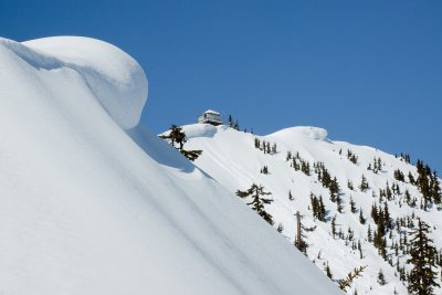 _MG_8525.JPG