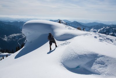 _MG_8608.JPG