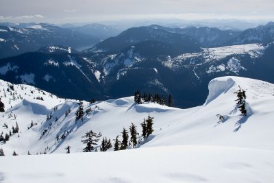 _MG_8628.JPG