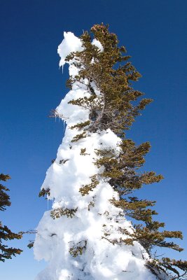 _MG_8637.JPG