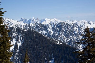 _MG_8695.JPG
