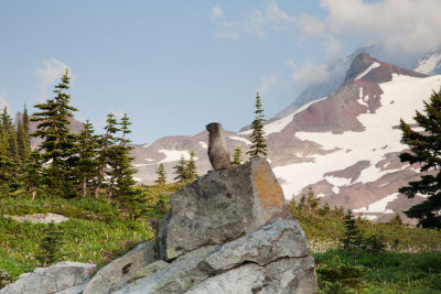 _MG_2250.jpg