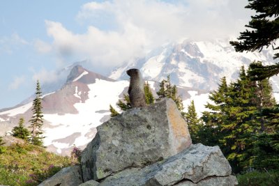 _MG_2252.jpg