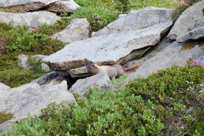 _MG_2255.jpg