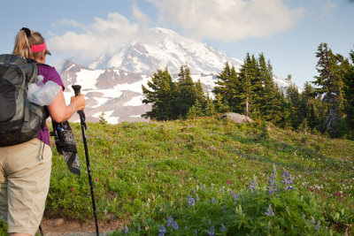 _MG_2263.jpg