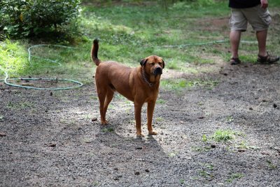 _MG_3884.JPG