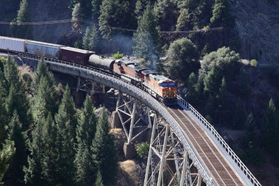 _MG_4535.JPG