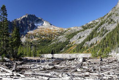 _MG_7711.JPG