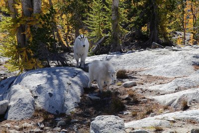 _MG_7889.JPG