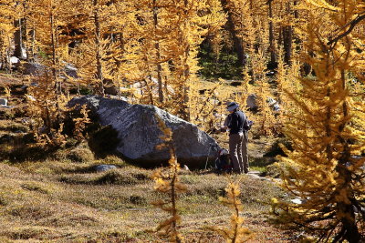 _MG_8069.JPG