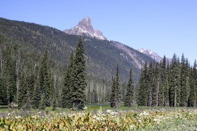 Peggys_pond0004.JPG