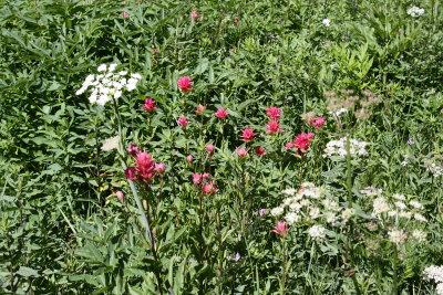Peggys_pond0005.JPG