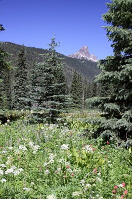 Peggys_pond0006.JPG