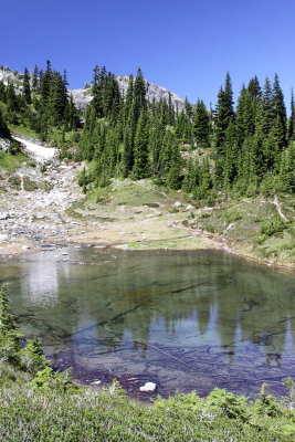 Peggys_pond0040.JPG