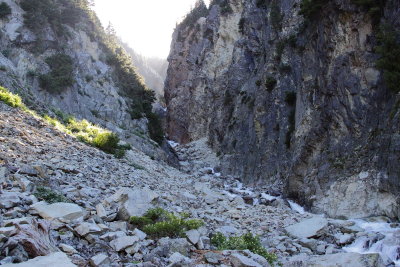 Peggys_pond0065.JPG