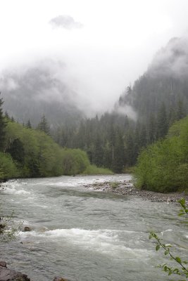 _MG_8916.JPG