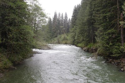 _MG_8919.JPG