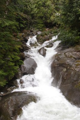_MG_8926.JPG