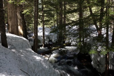 _MG_5640.JPG