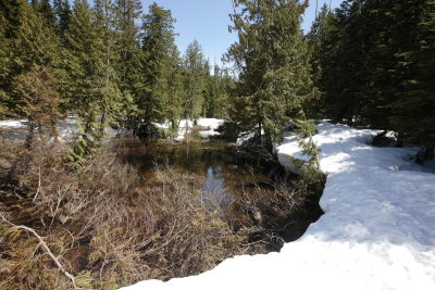 _MG_5652.JPG