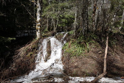 _MG_5658.JPG