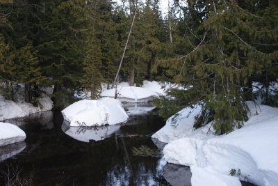 _MG_8707.JPG