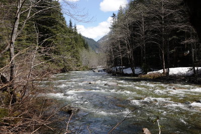 _MG_5768.JPG