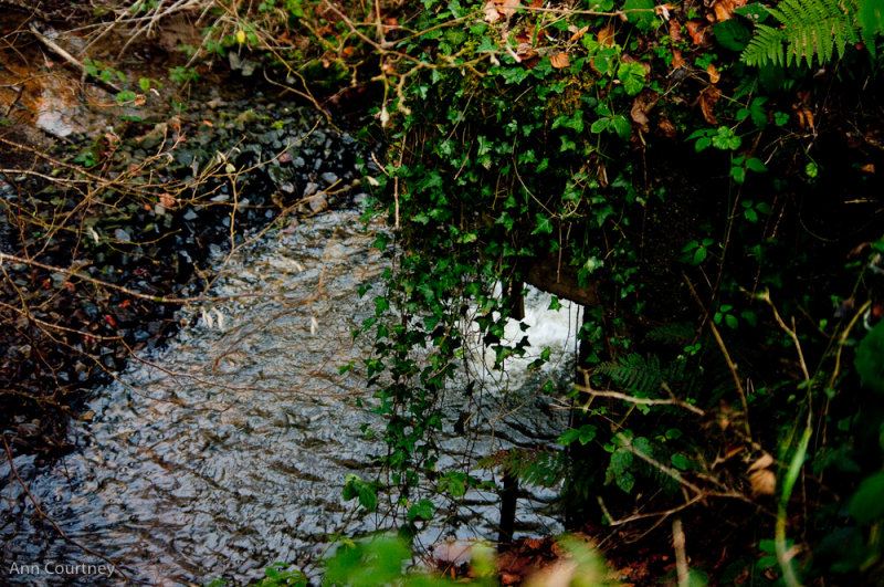 Flowing