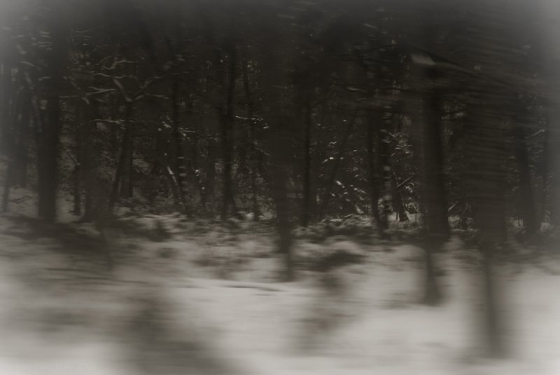 Moving through the gloom