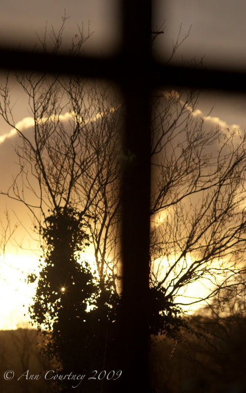 From the window