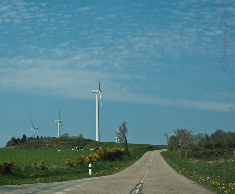 Wind Farm from the car