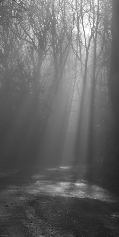 More Sunbeams