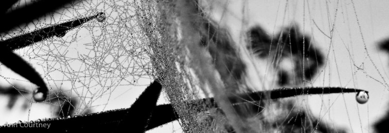 Under the Web 