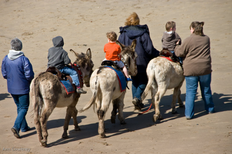 Hey Ho! Off we go....Riding on a Donkey.